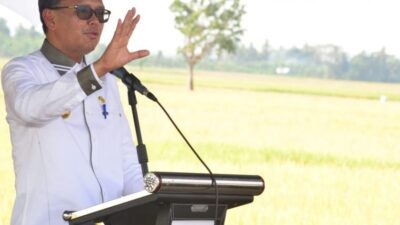 Mentan RI Pulang Kampung, Gubernur Sulsel Panen Raya di Pinrang