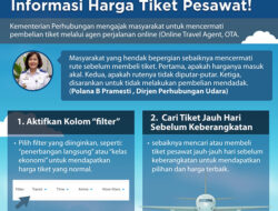 Pesan Dirjen Perhubungan Udara: Masyarakat Dihimbau Hati-Hati Beli Tiket Pesawat Online