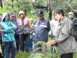Dosen Dendrologi UGM Dorong Pelestarian Kehati Gunung Merbabu