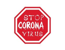 LDII Gulon: Pencegahan Penyebaran Virus Corona Bukan Tanggung Jawab Pemerintah Semata