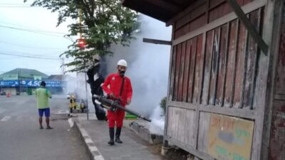 Tetap Waspada Saat Pandemi Covid-19! 145 Warga Kulon Progo Kena DBD