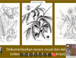 Pahami Flora Pegunungan, Mahasiswa Dendrologi UGM-ITB-UNS Kuliah Online Bersama