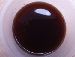 Baik untuk Perangsang Pertumbuhan Tanaman, Begini Cara Membuat Pupuk Organik Cair