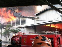 Diduga Terkait Demo Buruh, Pabrik di Halmahera Terbakar