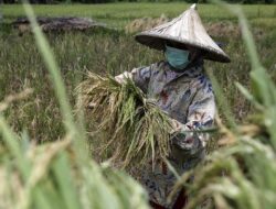 Ancaman Krisis Pangan di Tengah Pandemi Covid-19, LDII Inisiasi Jejaring Kolaborasi Pangan