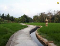 Kurangi Angka Pengangguran, Pemerintah Percepat Program Padat Karya di 900 Kecamatan