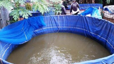 Kerjasama Apik Warga LDII Wujudkan Ketahanan Pangan