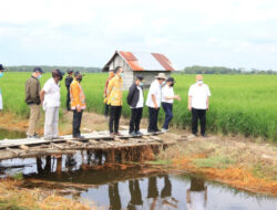 Tinjau Lokasi Food Estate, Menko Perekonomian Usulkan Kawasan Ekonomi Khusus