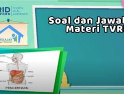 Soal dan Jawaban TVRI Kelas 4-6 SD 9 Juni 2020 X-Sains: Mekanisme Sistem Organ