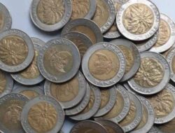 Keistimewaan Uang Koin Kelapa Sawit yang Harganya Selangit