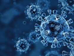 WHO: Penyebaran Virus Corona Melalui Udara Sejauh Dua Meter