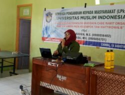 Ida Rosada, Dosen Fakultas Pertanian UMI Beri Solusi Pengolahan Cabe Rawit dengan Penerapan Teknologi Budidaya