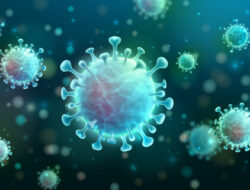 Update Covid-19 Sulbar 6 Oktober 2020, Penambahan 12 Kasus Positif dari Kabupaten Mamuju