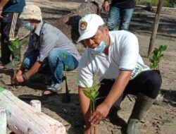 Cegah Abrasi, LDII Kalbar, IAP dan Mahasiswa Untan Tanam 3.000 Mangrove