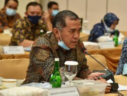 Peternak Rugi, Ketum Pinsar Imbau Pemerintah Jaga Harga Perunggasan