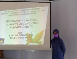 PkM, Dosen FP UMI Kenalkan Penerapan Teknologi Budi Daya Jagung dan Pascapanen