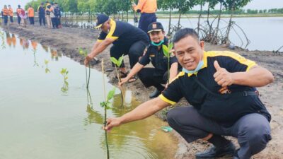 Peduli Lingkungan, Senkom Mitra Polri Karawang Tanam Pohon Mangrove di Pesisir Pakisjaya