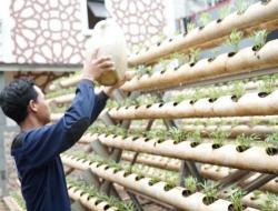 Peneliti Pangan LDII: Kearifan Lokal Mampu Hadapi Krisis Pangan Dunia