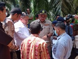 Sengketa Tanah PT. BSU dengan SAD Mahadi Kulok Lanjut ke Pengadilan Negeri Sengeti